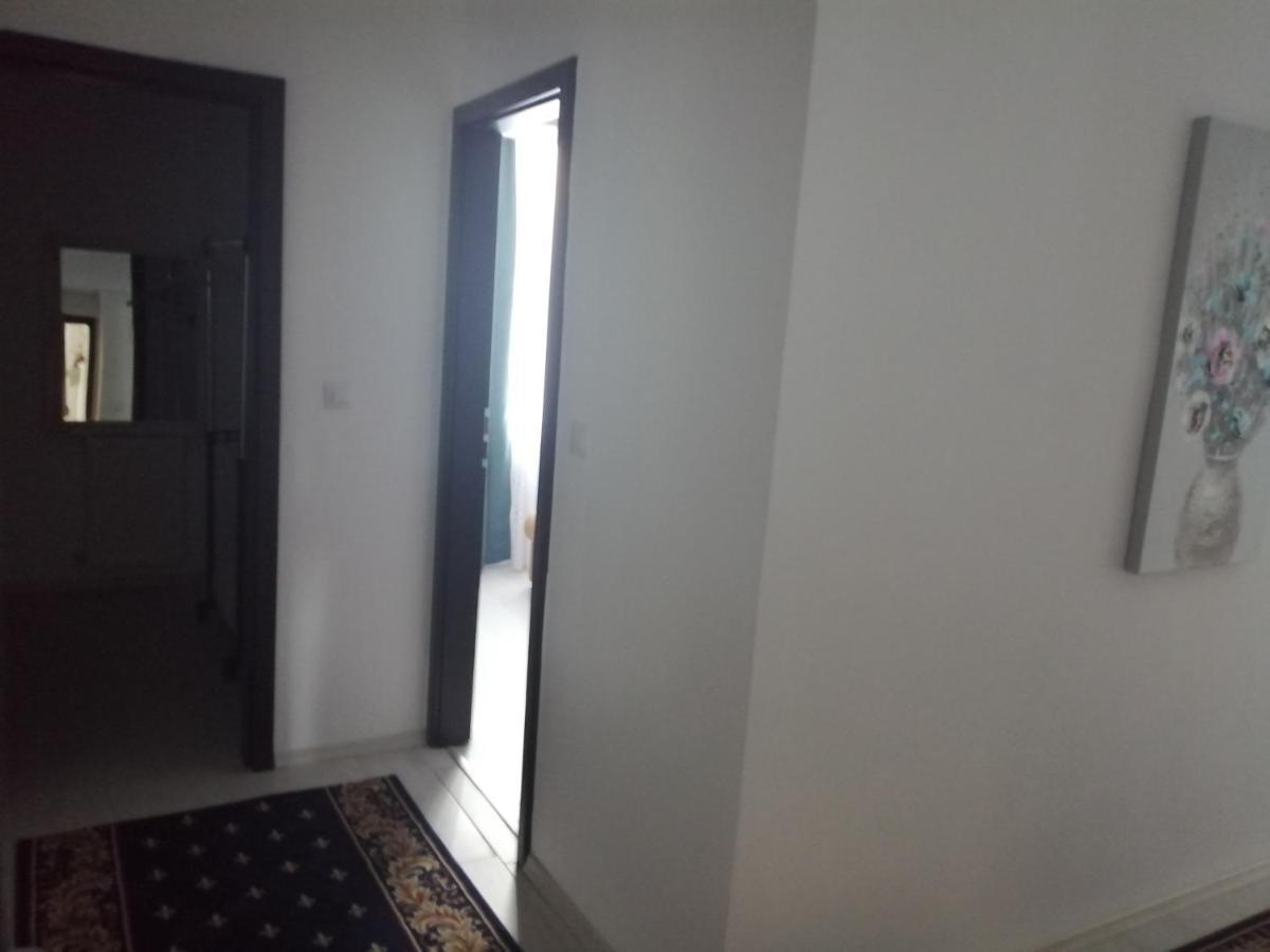 Mathias Luxury Apartments 雅西 外观 照片