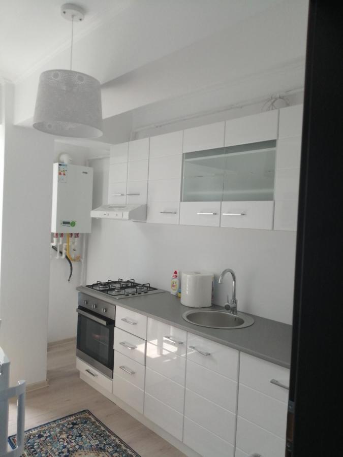 Mathias Luxury Apartments 雅西 外观 照片