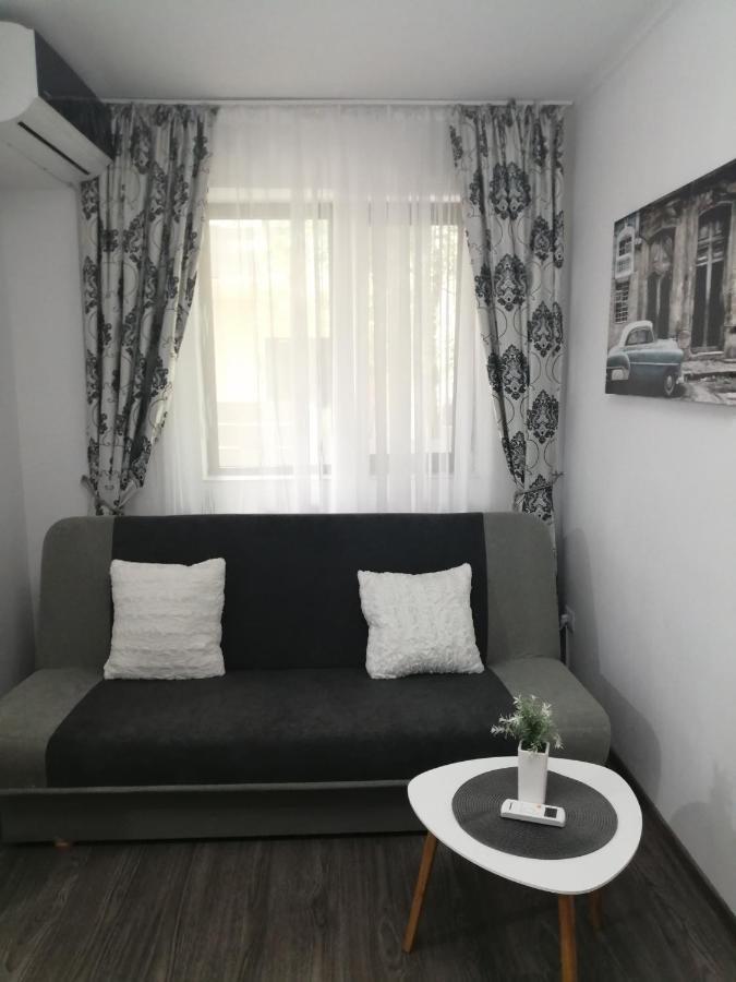 Mathias Luxury Apartments 雅西 外观 照片